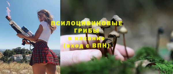 ALPHA-PVP Алексеевка