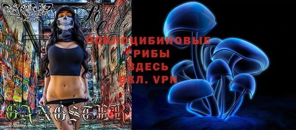 прущие грибы Абаза